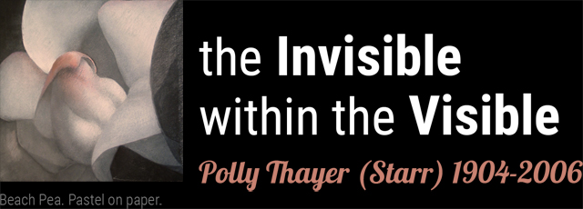 the Invisible within the Visible | Polly Thayer (Starr) 1904-2006 | Beach Pea. Pastel on paper.