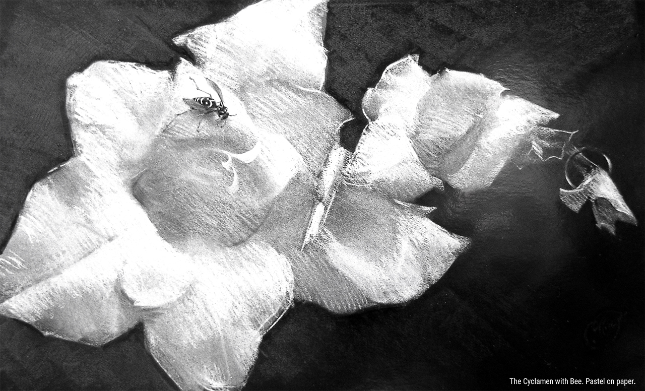 The Cyclamen with Bee. Pastel on paper.